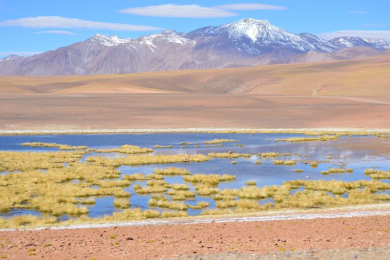 Read more about the article Comunicando el cambio climático regional: el caso de una sequía en Suramérica