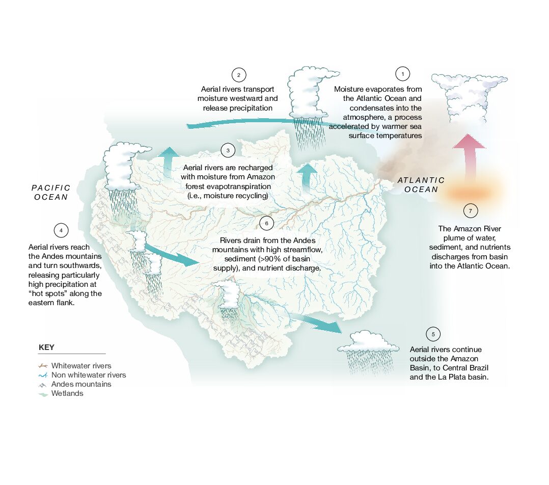 Read more about the article La Vía Hidroclimática Andes-Amazonía-Atlántica